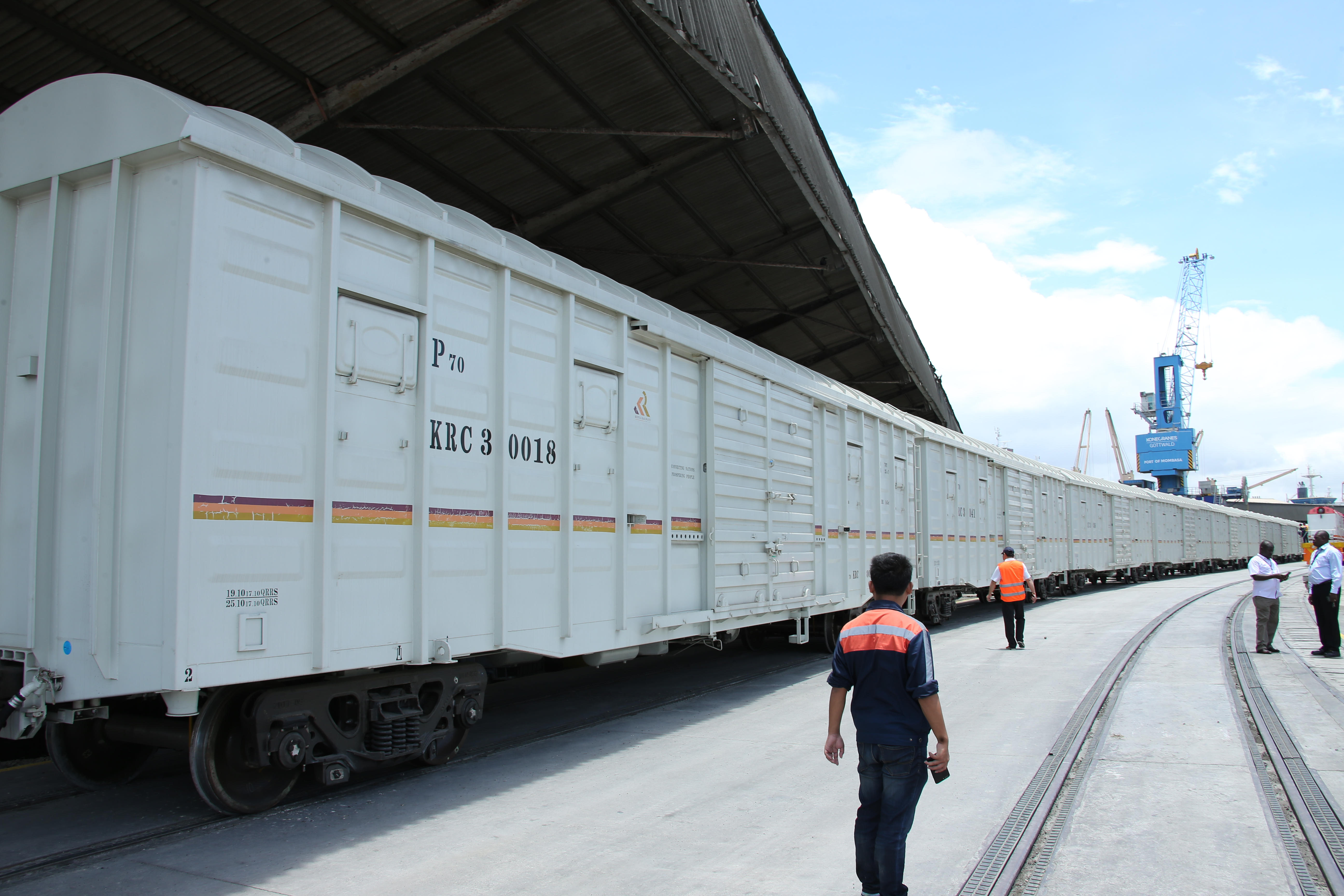 LOADED SGR WAGONS 002.jpg